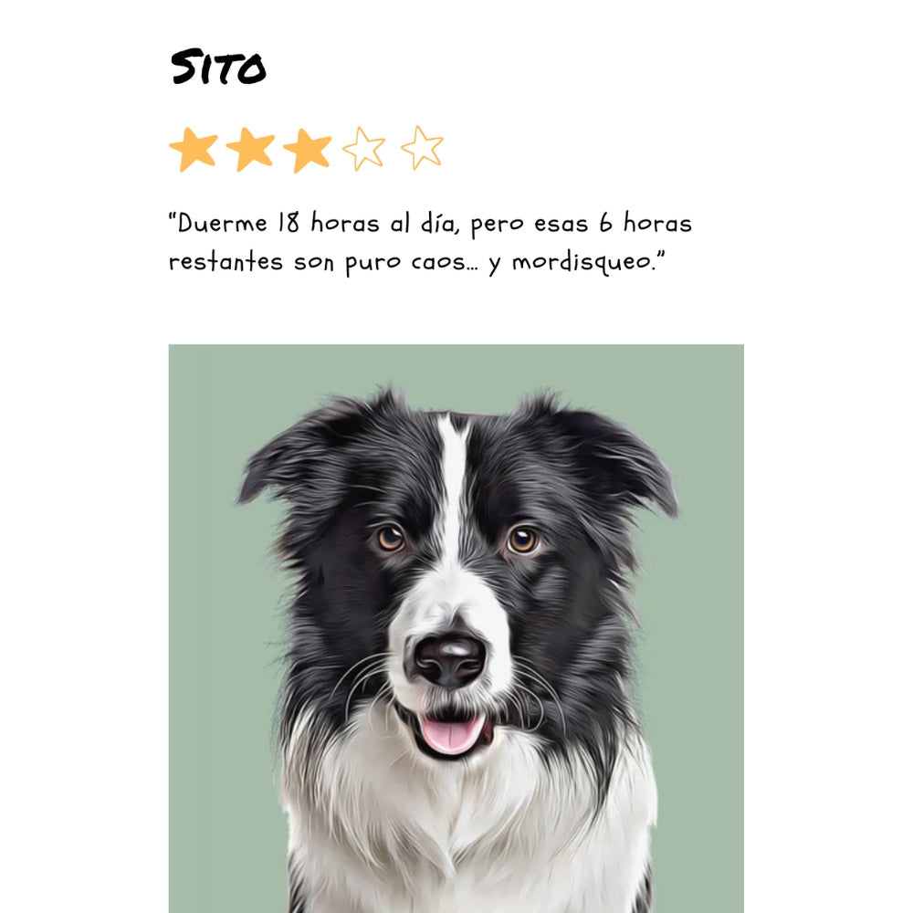 Retrato de mascota personalizado formato reseña